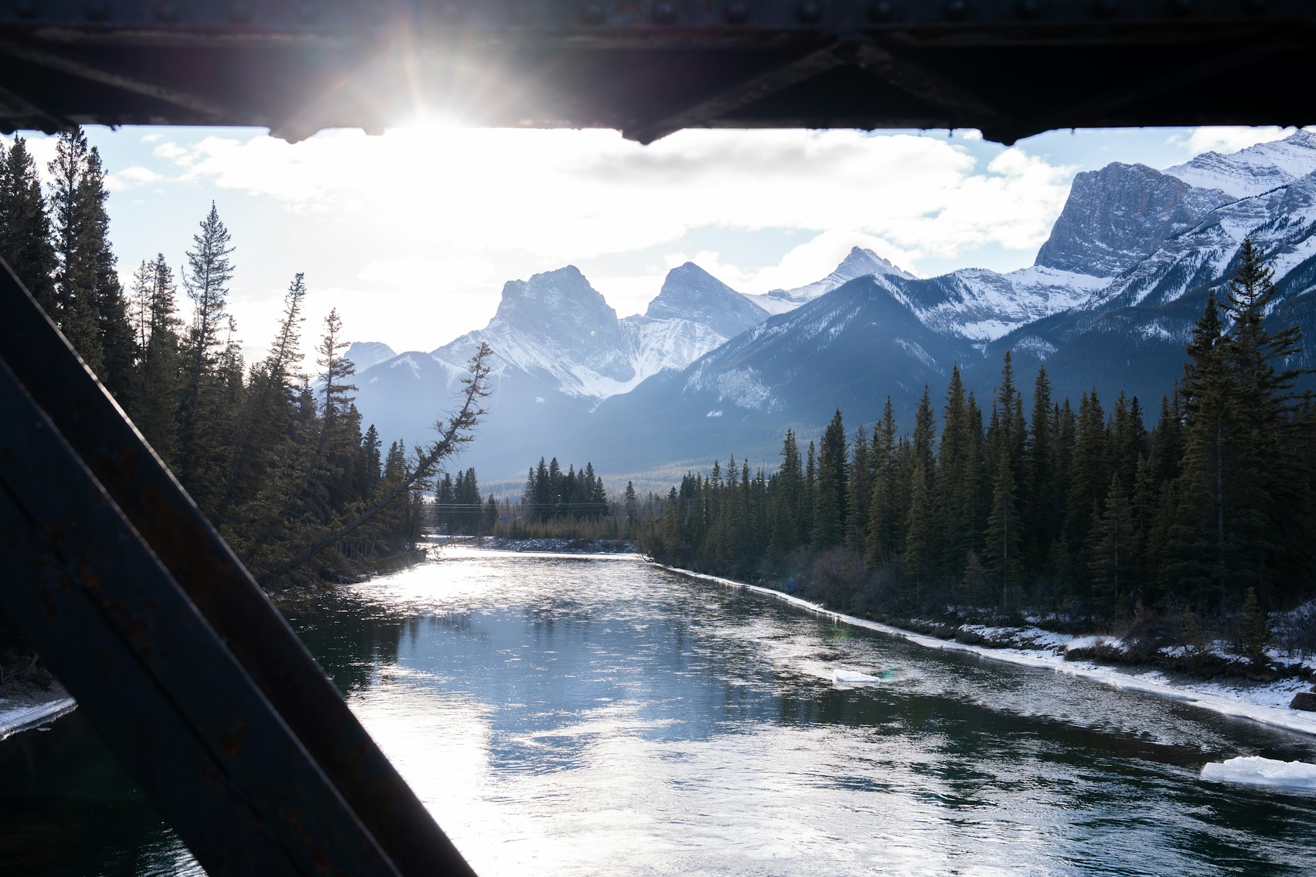 New M Fund Targets Carbon Removal Startups Across Canada – Calgary.Tech