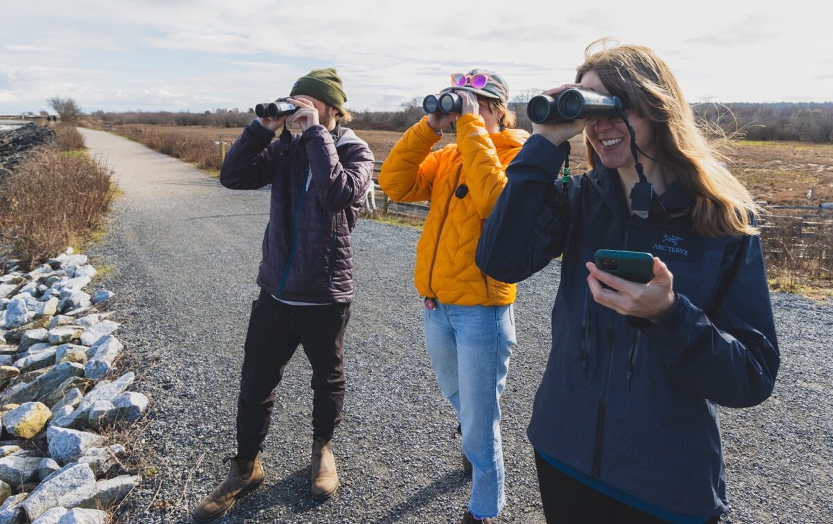 Birds Canada Taps Edmonton’s Punchcard Systems to Build Nature-Saving Mobile App