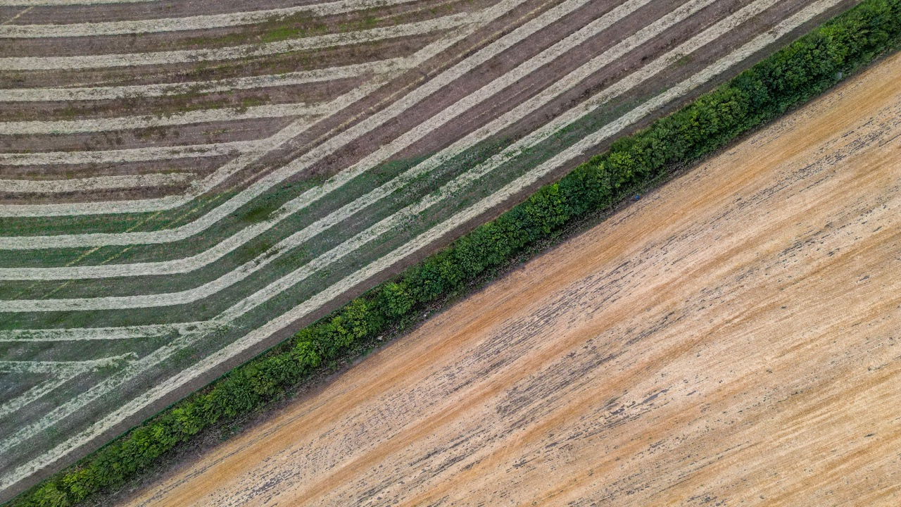 AgSphere Partners Up To Forge Overseas Pathway For Agri Food Tech And agsphere-partners-up-to-forge-overseas-pathway-for-agri-food-tech-and